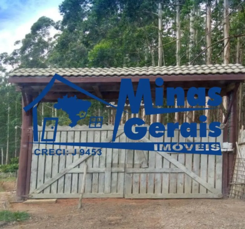 Chácara, 3 quartos, 6000 m² - Foto 3