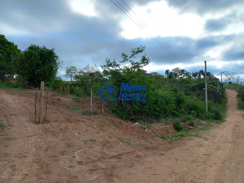 Chácara, 1 quarto, 920 m² - Foto 6