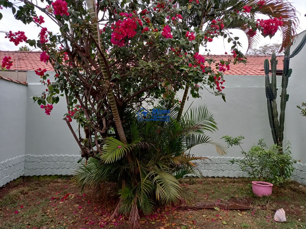 Casa, 4 quartos - Foto 11