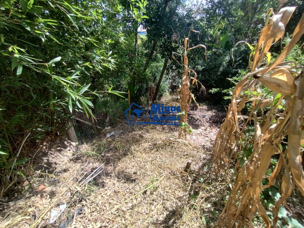 Terreno, 150 m² - Foto 3
