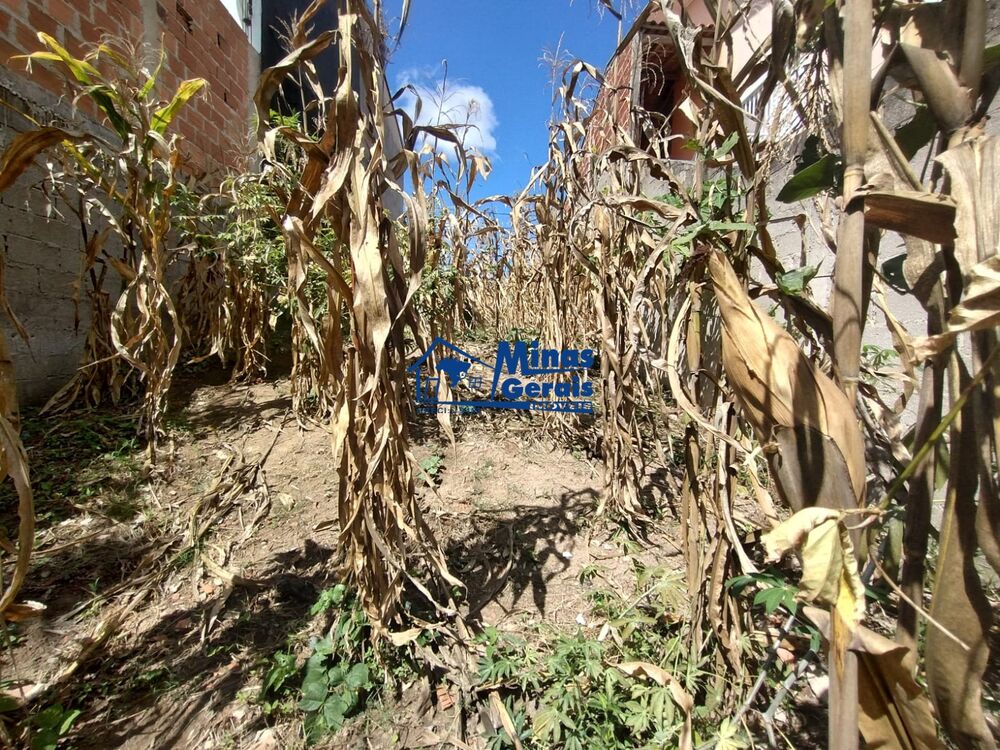 Terreno, 150 m² - Foto 2
