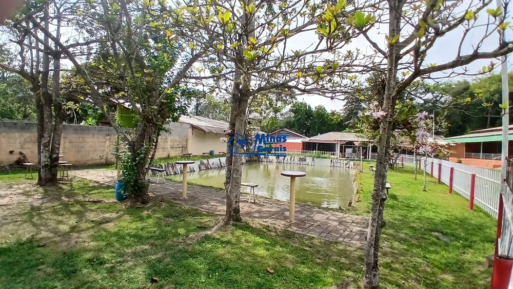 Chácara, 2 quartos, 3120 m² - Foto 8