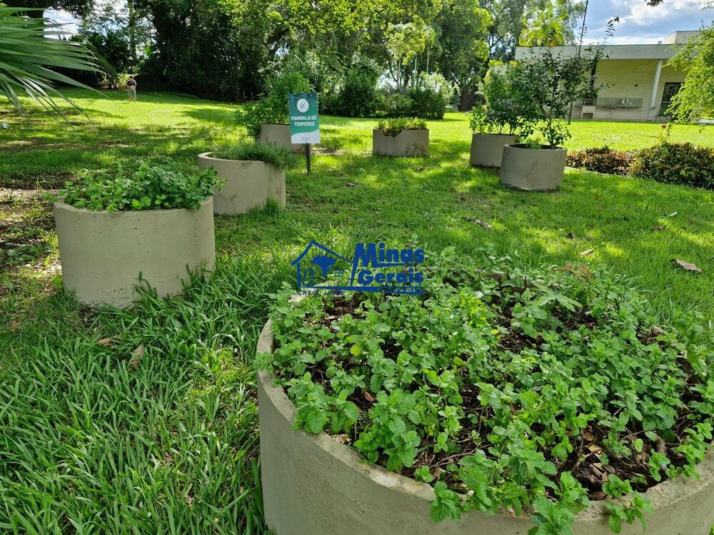 Terreno, 540 m² - Foto 8