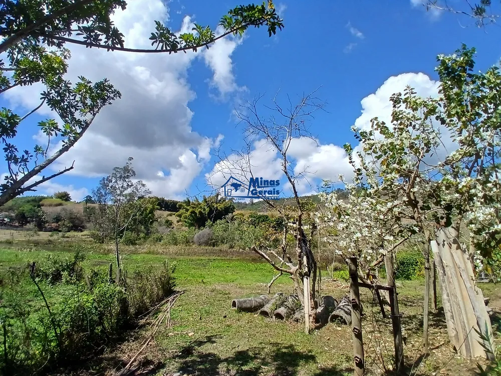 Sítio, 2 quartos, 9300 m² - Foto 8