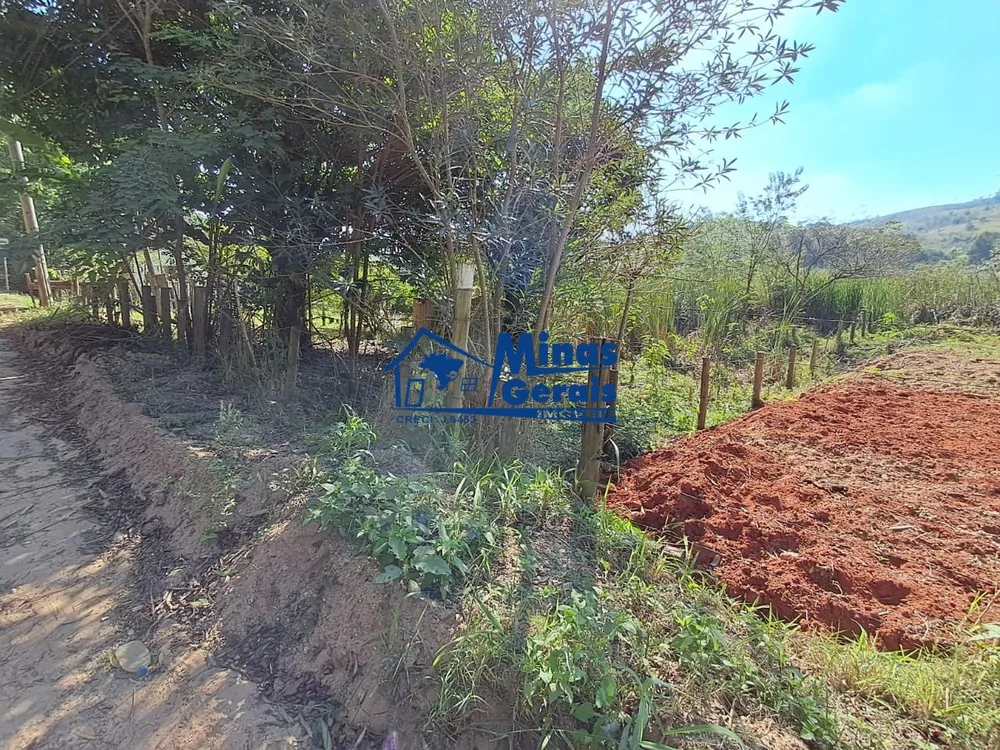 Chácara, 2 quartos, 1 hectares - Foto 8