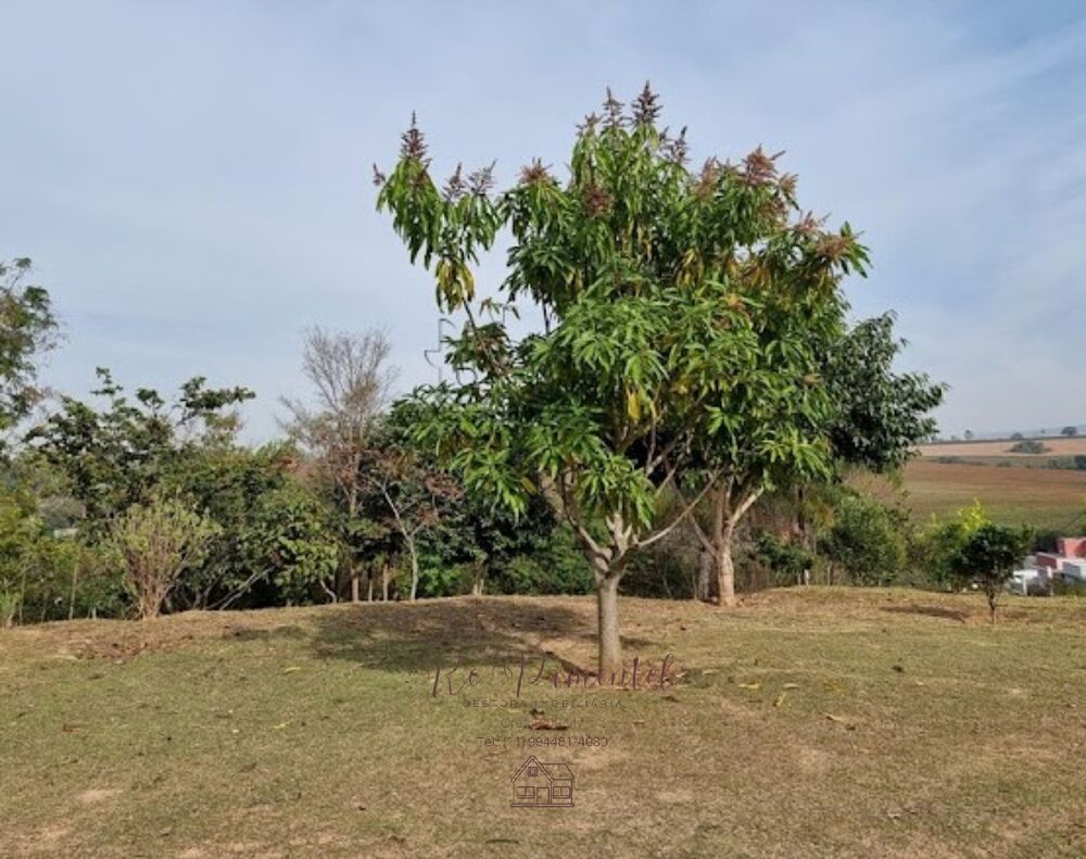 Terreno, 300 m² - Foto 3