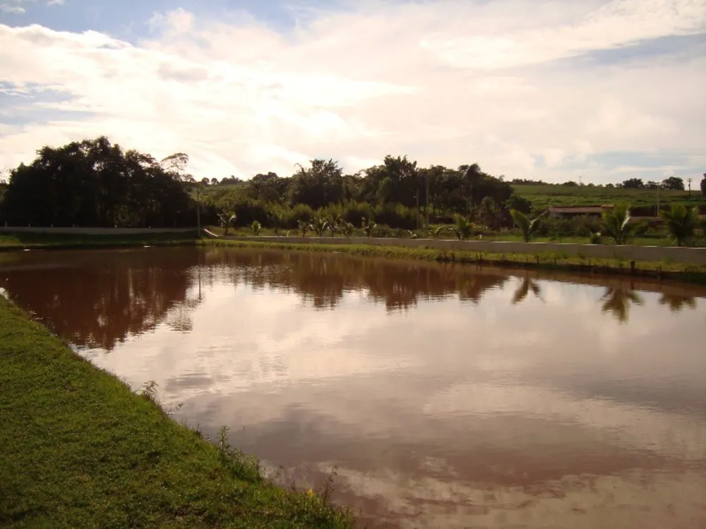 Chácara, 4 quartos, 3 hectares - Foto 11