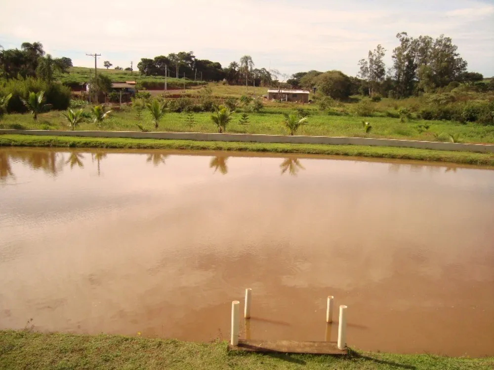 Chácara, 4 quartos, 3 hectares - Foto 6