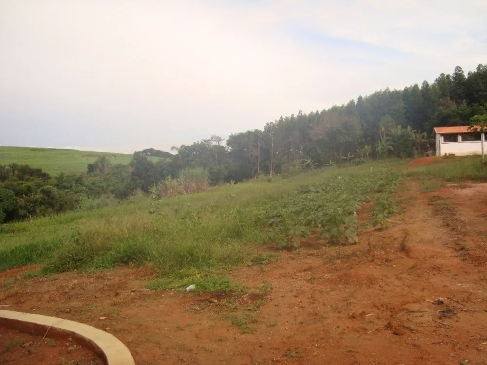 Chácara, 4 quartos, 3 hectares - Foto 7