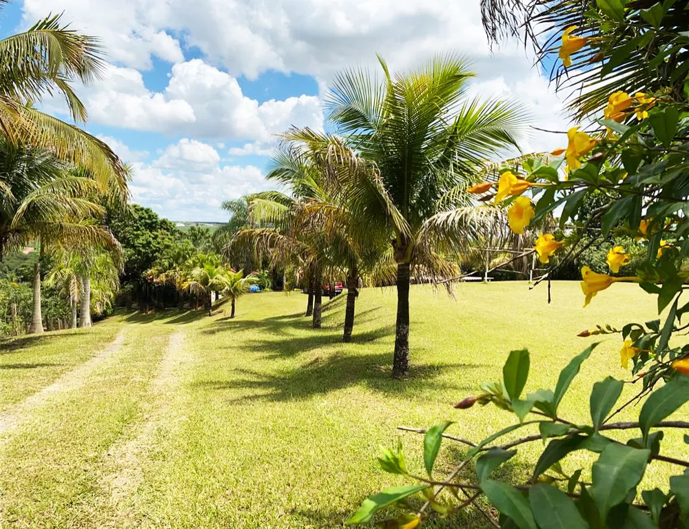 Fazenda à venda com 3 quartos, 24200m² - Foto 2