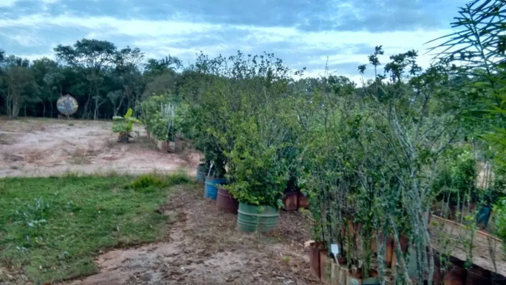 Chácara, 2 quartos, 4 hectares - Foto 8