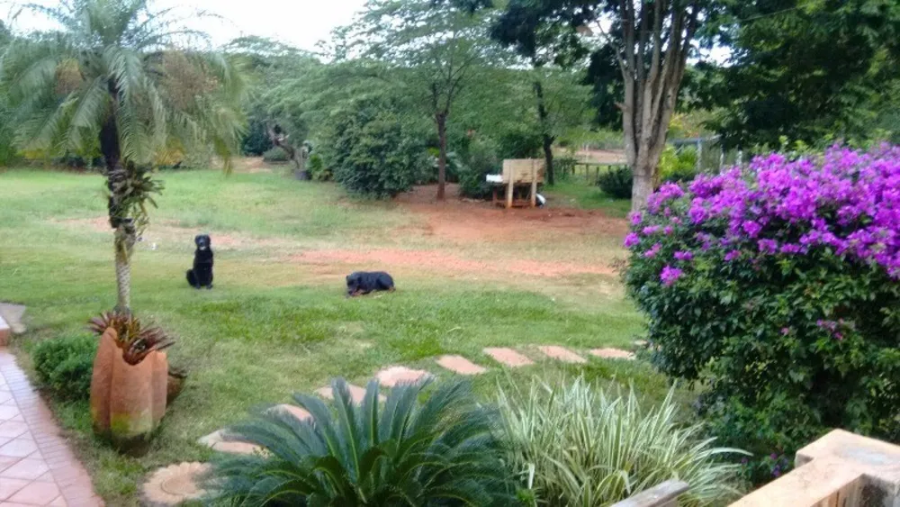 Chácara, 2 quartos, 4 hectares - Foto 6