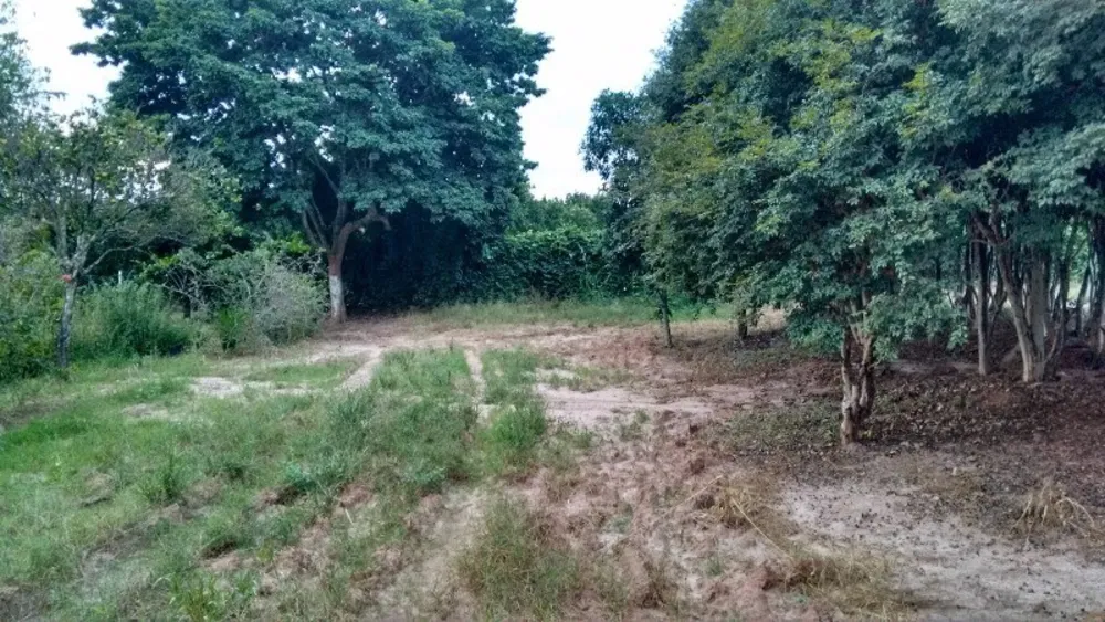 Chácara, 2 quartos, 4 hectares - Foto 9