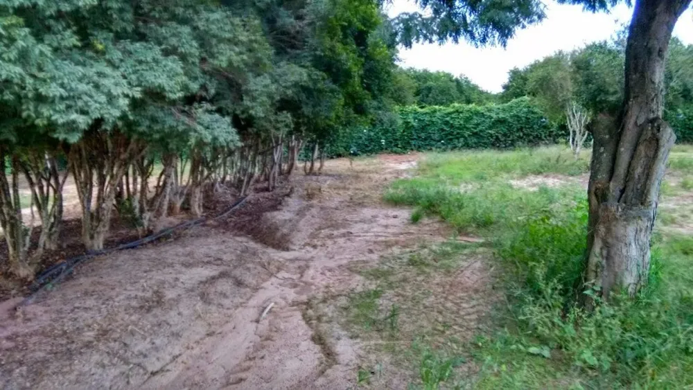 Chácara, 2 quartos, 4 hectares - Foto 10