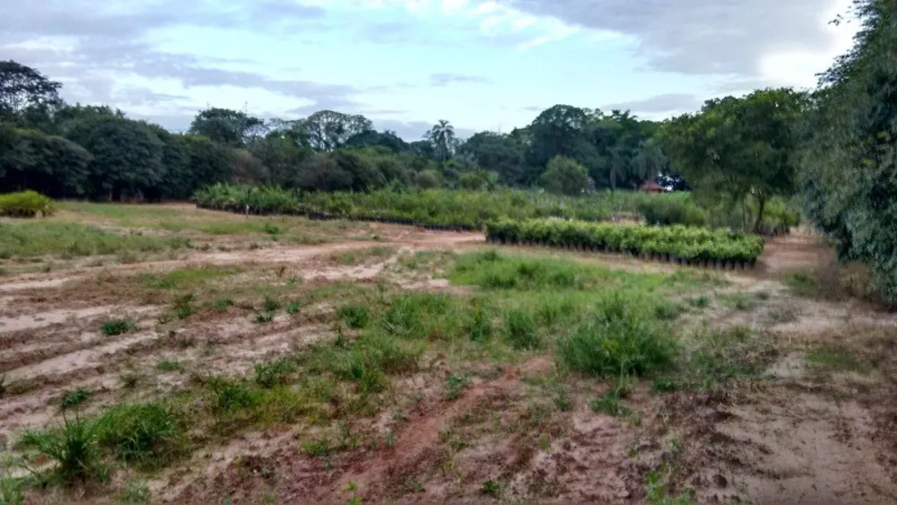 Chácara, 2 quartos, 4 hectares - Foto 10