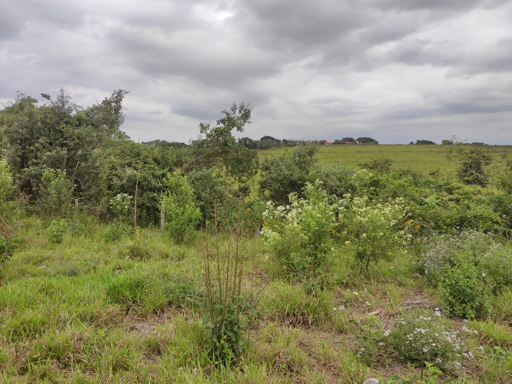 Loteamento e Condomínio, 24 hectares - Foto 6
