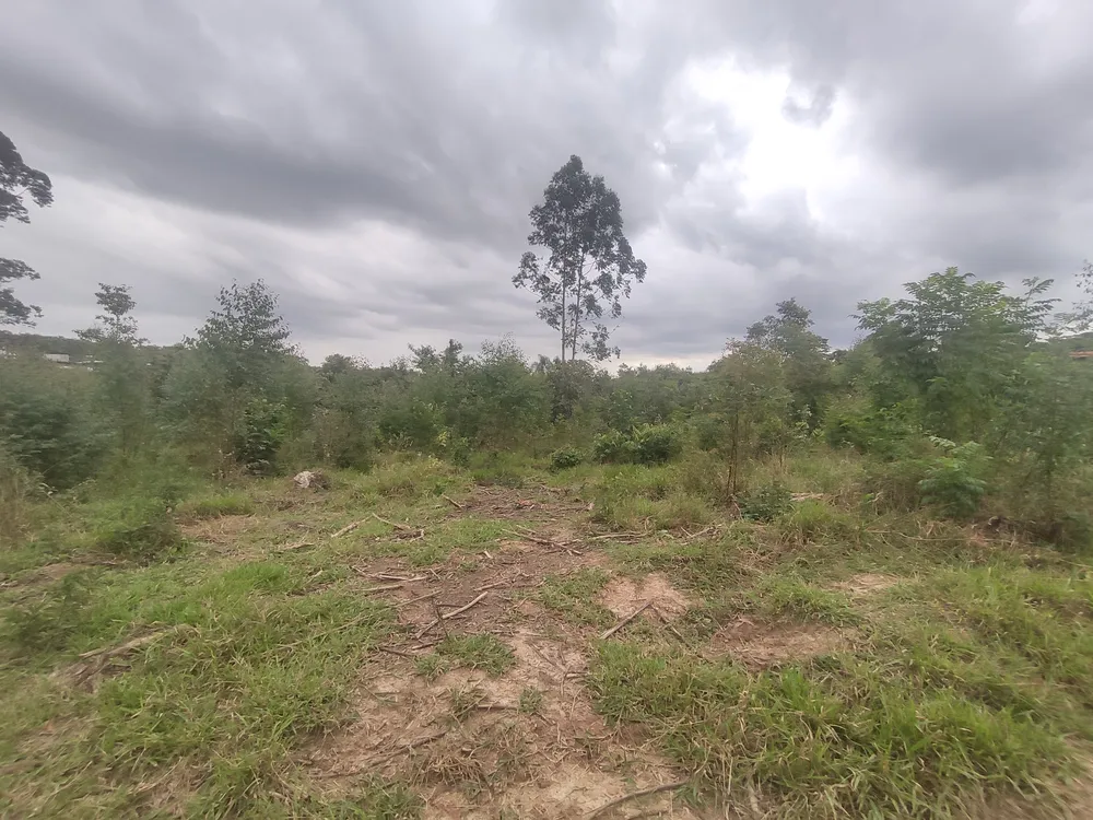 Loteamento e Condomínio, 24 hectares - Foto 9