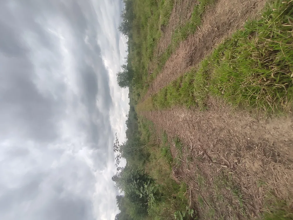 Loteamento e Condomínio, 24 hectares - Foto 3