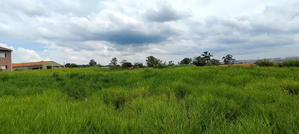 Terreno, 3000 m² - Foto 5