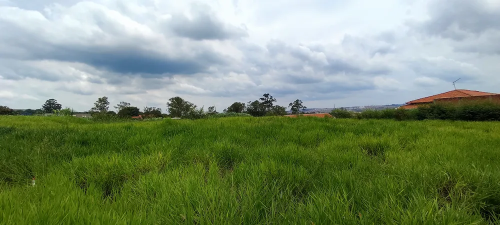 Terreno, 3000 m² - Foto 2