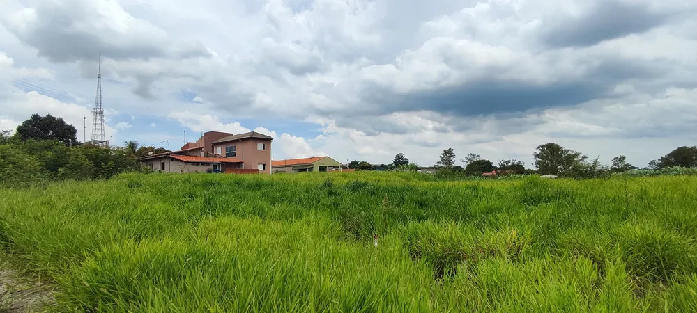 Terreno, 3000 m² - Foto 3
