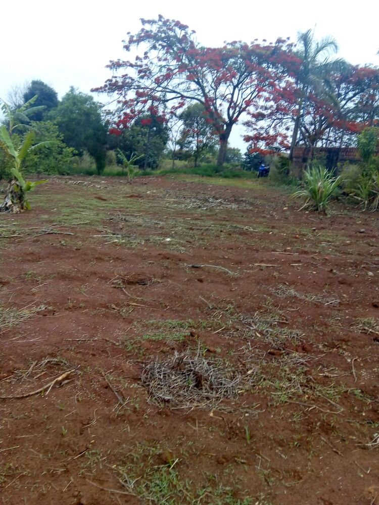 Terreno, 1000 m² - Foto 2