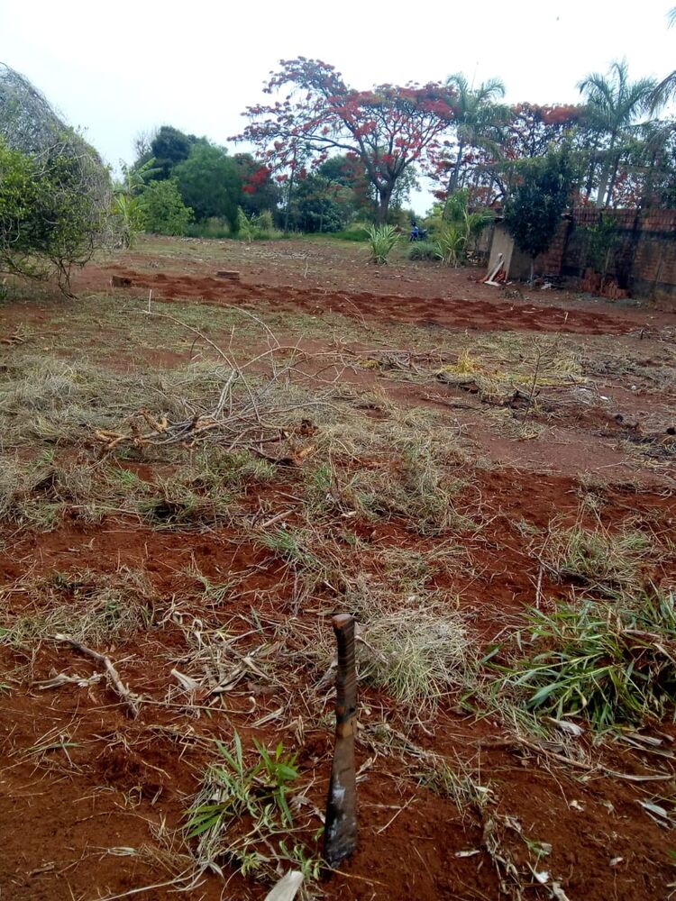 Terreno, 1000 m² - Foto 3