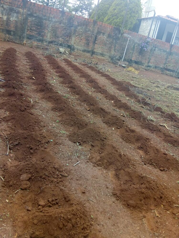 Terreno, 1000 m² - Foto 4