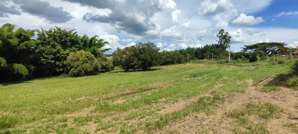 Chácara, 1 quarto, 10000 m² - Foto 11