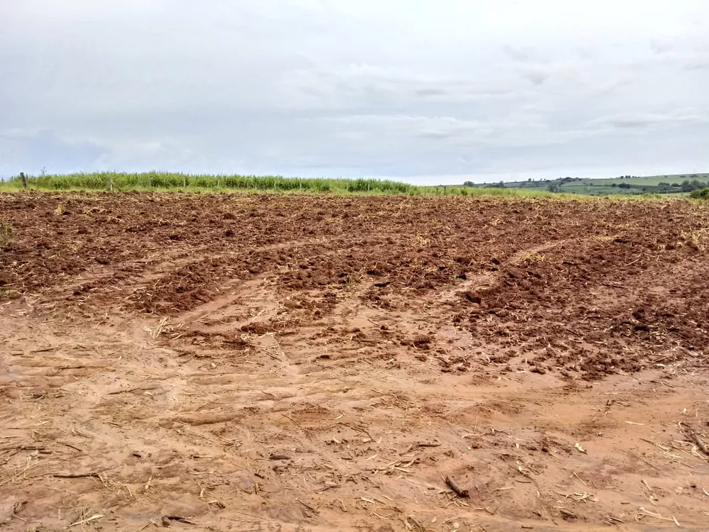 Terreno à venda, 10000m² - Foto 1