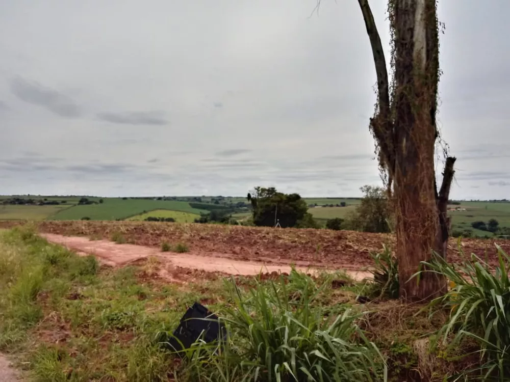 Terreno à venda, 10000m² - Foto 2