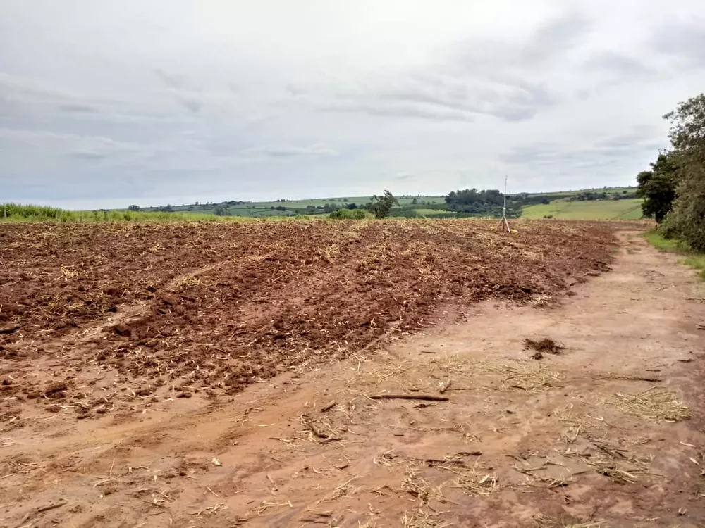 Terreno à venda, 10000m² - Foto 3