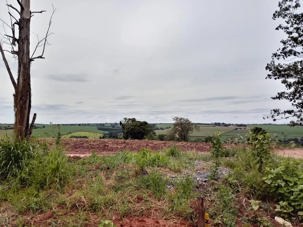 Terreno, 10000 m² - Foto 5
