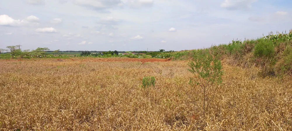Loteamento e Condomínio, 2 hectares - Foto 7