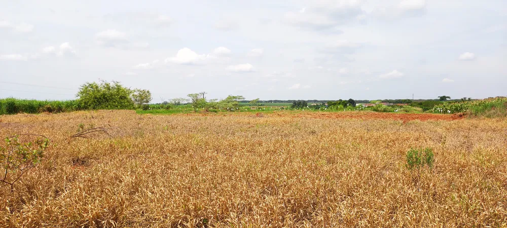 Loteamento e Condomínio, 2 hectares - Foto 8