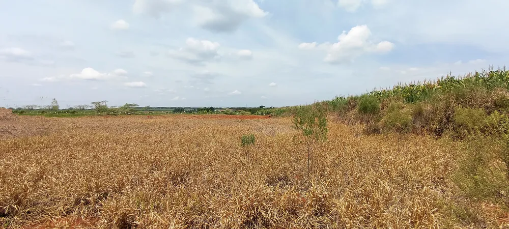 Loteamento e Condomínio, 2 hectares - Foto 6
