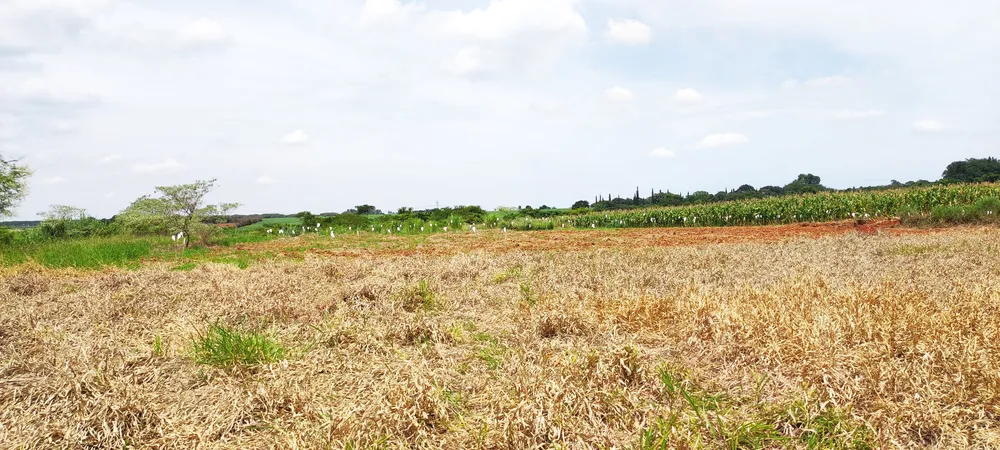 Loteamento e Condomínio, 2 hectares - Foto 9