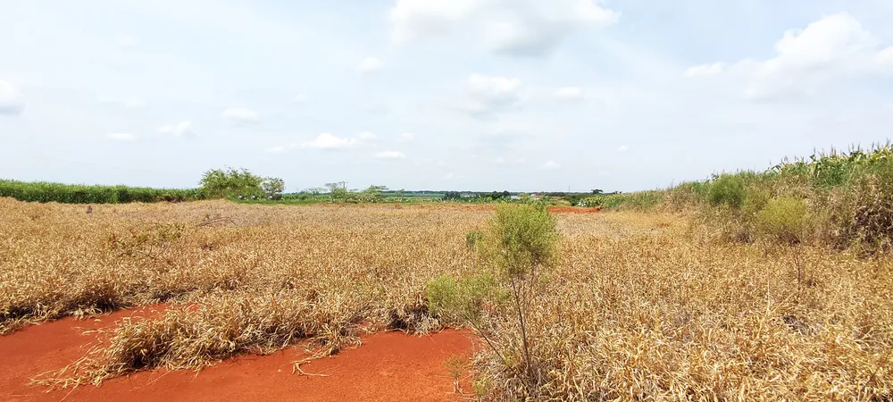 Loteamento e Condomínio, 2 hectares - Foto 3