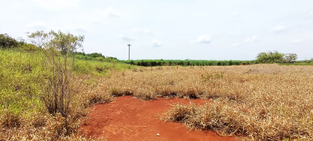 Loteamento e Condomínio, 2 hectares - Foto 2