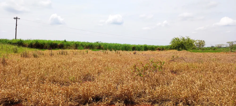 Loteamento e Condomínio, 2 hectares - Foto 1