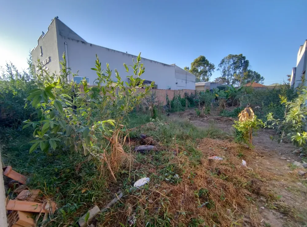 Terreno, 360 m² - Foto 2