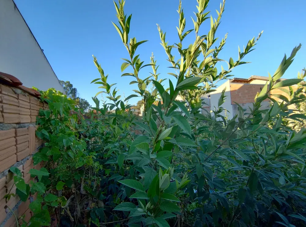 Terreno, 360 m² - Foto 3