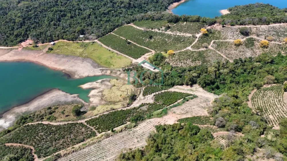 Fazenda, 54 hectares - Foto 4