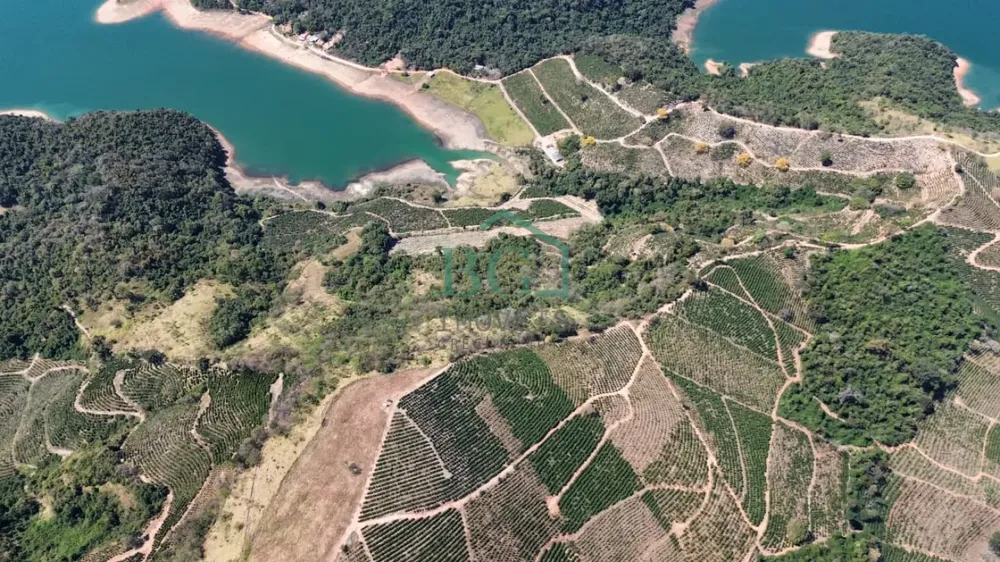 Fazenda, 54 hectares - Foto 3