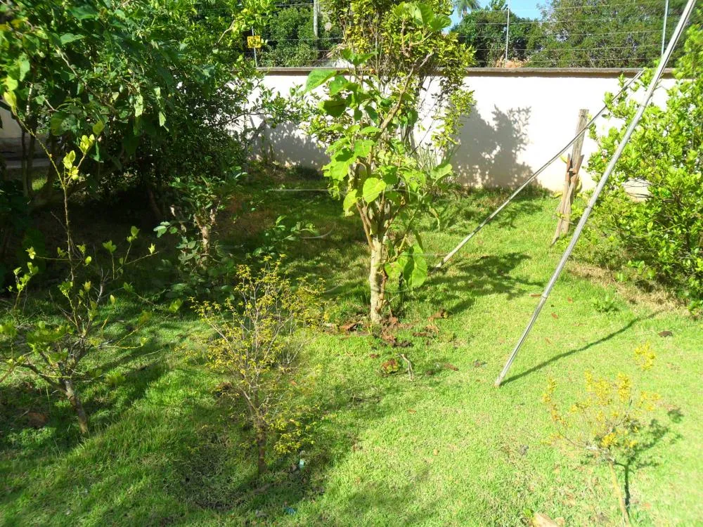 Casa, 3 quartos, 353 m² - Foto 6
