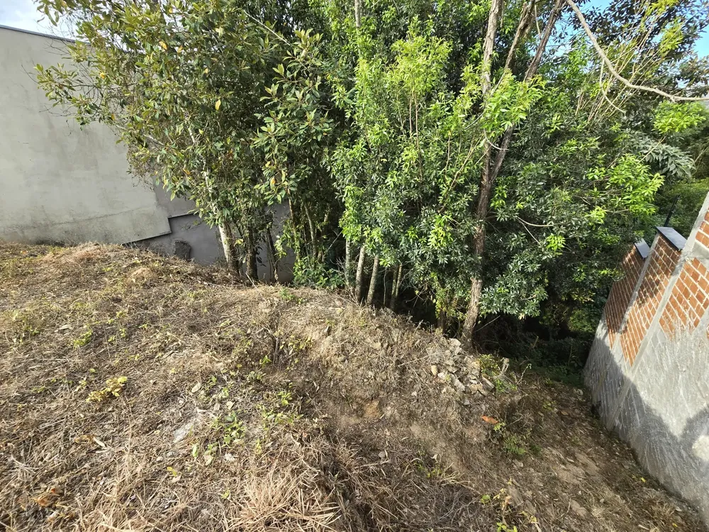 Terreno, 439 m² - Foto 2