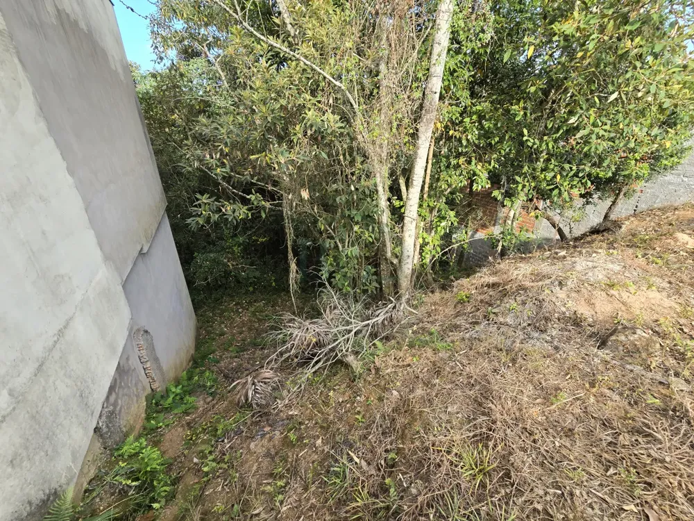 Terreno, 439 m² - Foto 6