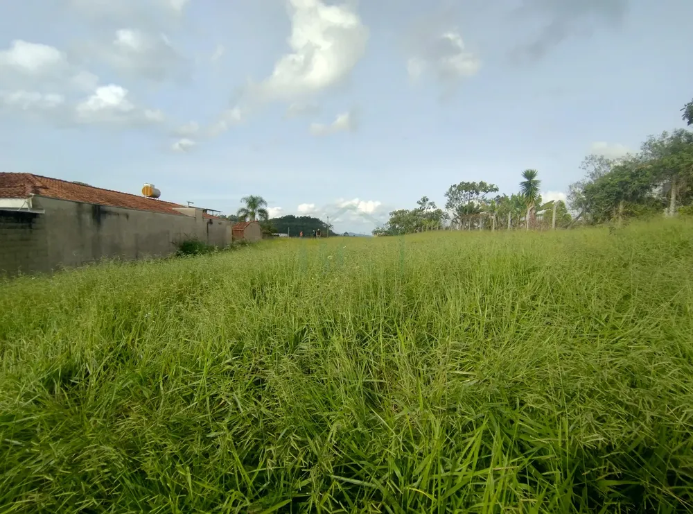 Terreno, 2132 m² - Foto 4
