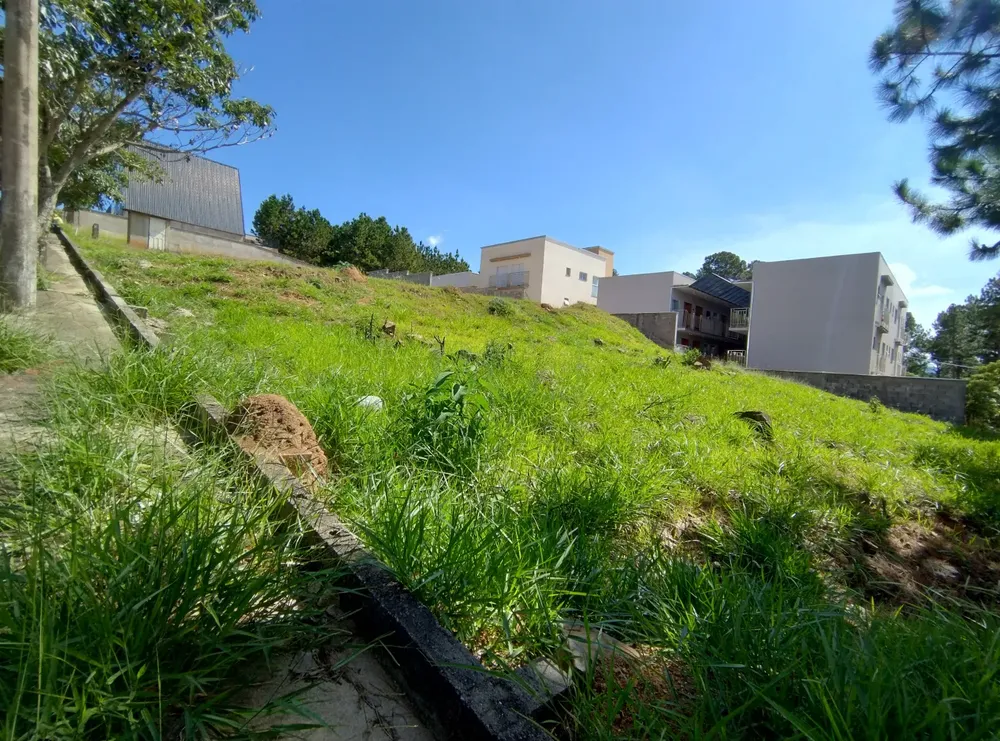 Terreno, 312 m² - Foto 3
