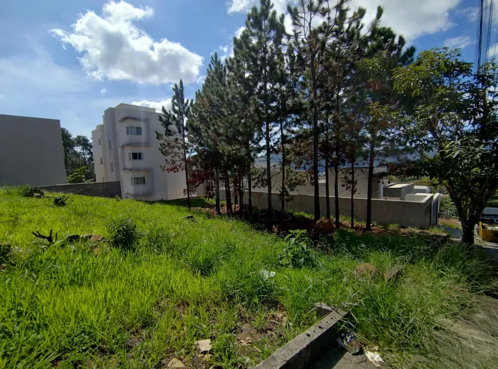 Terreno, 312 m² - Foto 2